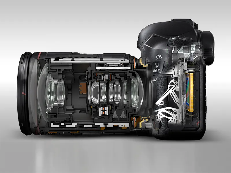 Source and copyright: Canon Europe Source and copyright: Canon Europe