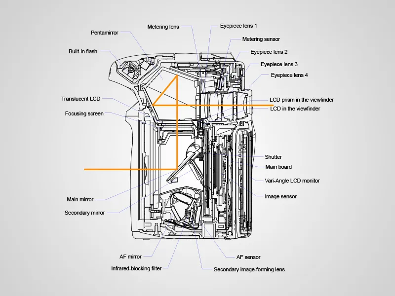Source and copyright: Canon Europe Source and copyright: Canon Europe