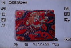 Exposition simulation