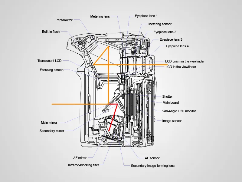 Source and copyright: Canon Europe Source and copyright: Canon Europe