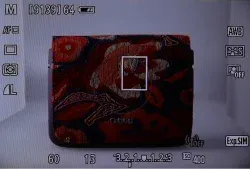 Exposition simulation