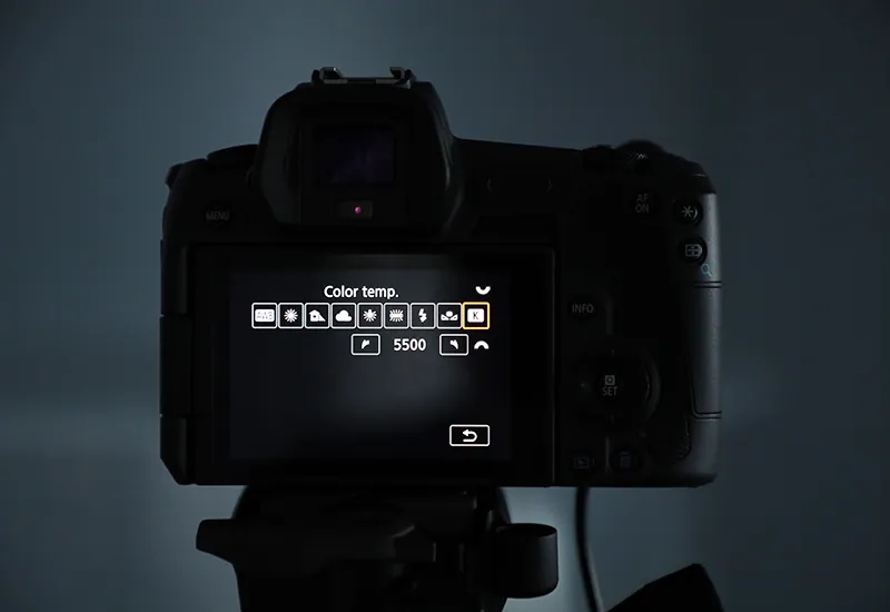 Setting light color temperature in the camera