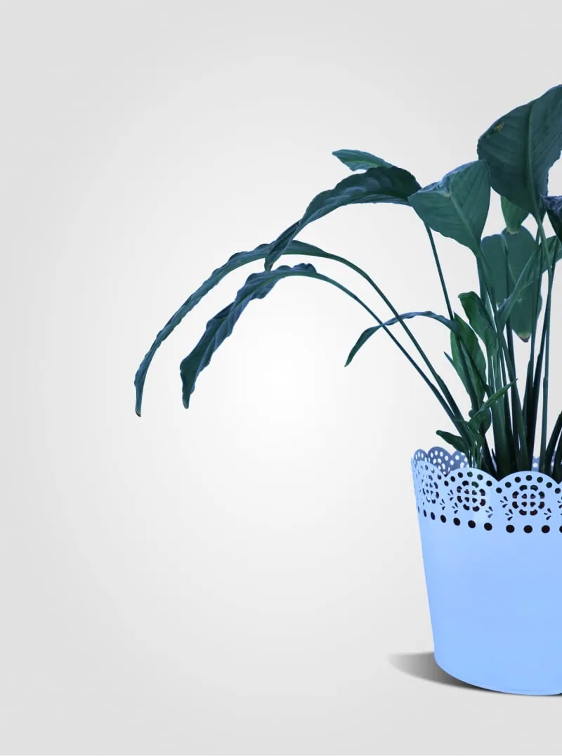 Product photo with wrong white balance